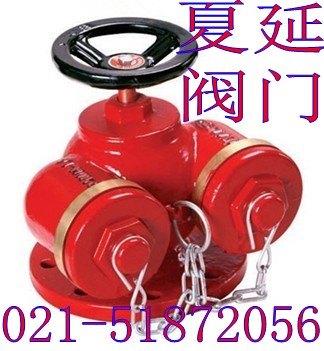 供应多用式地下消防水泵接合器SQD