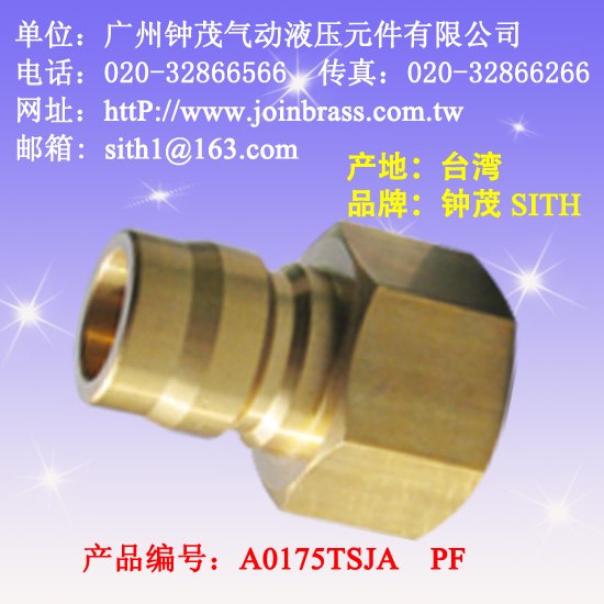 TS式大流量洗车机快速接头