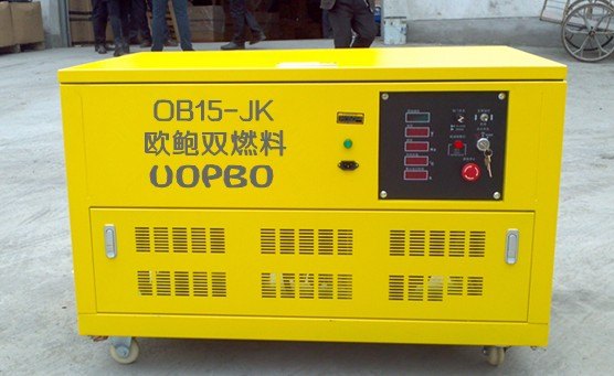 15千瓦双燃料发电机