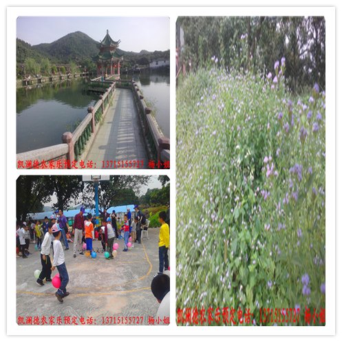 农家乐旅游景点推荐