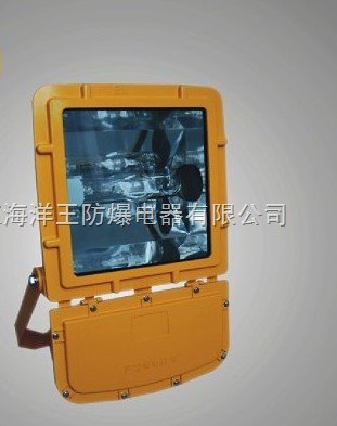 BYW6130内场防爆泛光灯