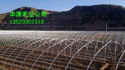 大棚骨架建造 温室大棚建造 安阳丰源农业科技有限公司
