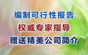 汉中写政府立项可行性研究报告瑞鼎最权威