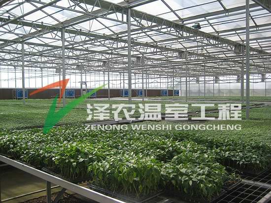 智能温室大棚，连栋温室大棚