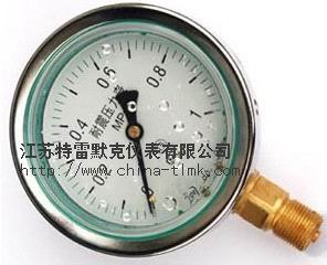 供应耐震压力表