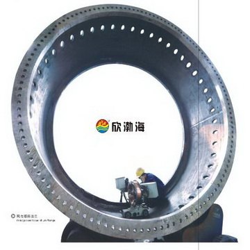 渤海电力欣渤海
