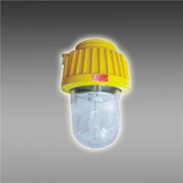 供应矿用隔爆型泛光灯