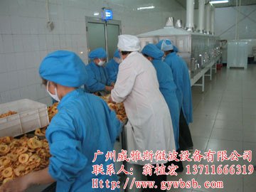 北京红枣片干燥杀菌厂家
