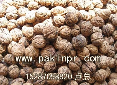 广东核桃,广东核桃批发