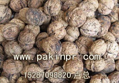 广东核桃,广东核桃价格