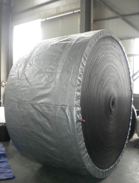 供应莱曼牌聚酯输送带