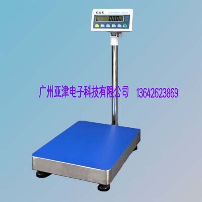 美国双杰TC100K大称量电子天平