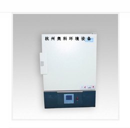 精密型鼓风干燥箱浙江生产厂家