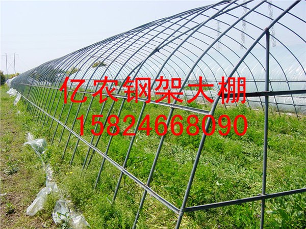 湖南怀化何处卖镀锌管大棚架