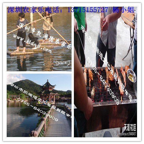 深圳不一般感觉的农家乐 农家乐休闲游 最优先选择
