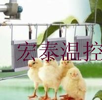 l辽宁沈阳/鸡舍专用锅炉/组成