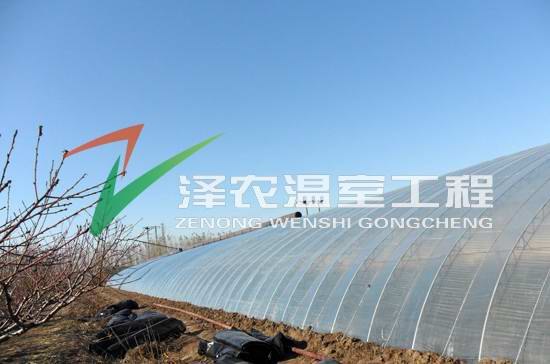承接温室工程，专业温室建设技术