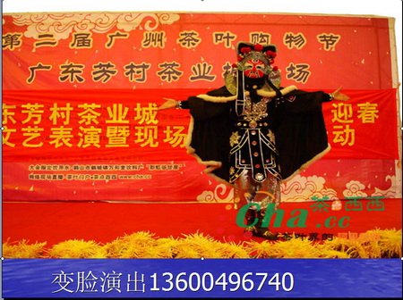 广州杂技魔术 鞭技 小丑 冰上芭蕾 肩上芭蕾 呼啦圈 蹬技 顶技 力量