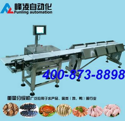 海参鲍鱼黄花鱼重量分选机-水产品重量分级机