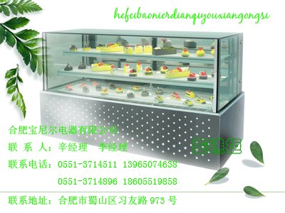 株洲饮料柜/静海县面包展示柜/贵阳保鲜冷藏柜