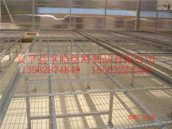 温室专用网片,苗床网，温室用网片，建筑网片,电焊网片