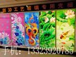 三维立体玻璃移门
