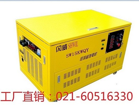 大汽油发电机12KW 闪威水冷汽油发电机