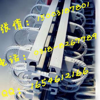 桥梁专家来自枣强元亨桥梁伸缩缝