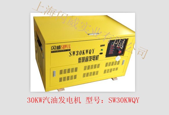 最大闪威汽油发电机 美国品牌30KW汽油发电机