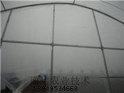 固原建造日光温室大棚强市大棚蔬菜百姓爱