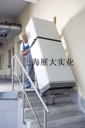 SANO载货爬楼车
