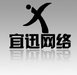 专业网站建设优化营销