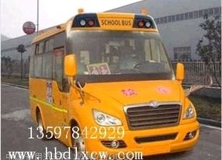 大鼻子东风校车价格