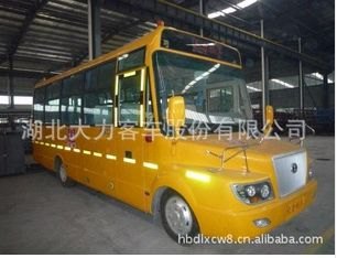 新标准校车 大力牌大鼻子尖头24-43座小学生校车