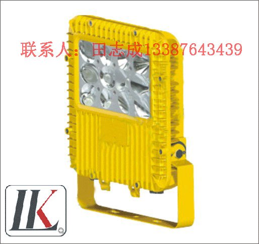 LK-FBD1101 |BFC8110LED防爆泛光灯（应急）