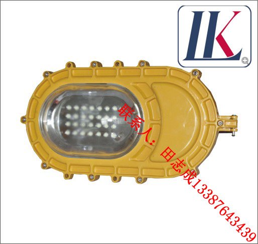 LK-FBD1107|9105B防爆厂内免维护节能防