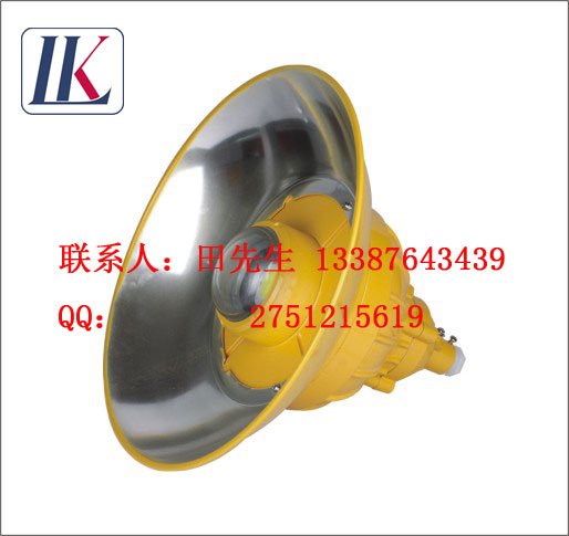 LK-FBD1109|9100系列防爆高效免维护LED照明灯