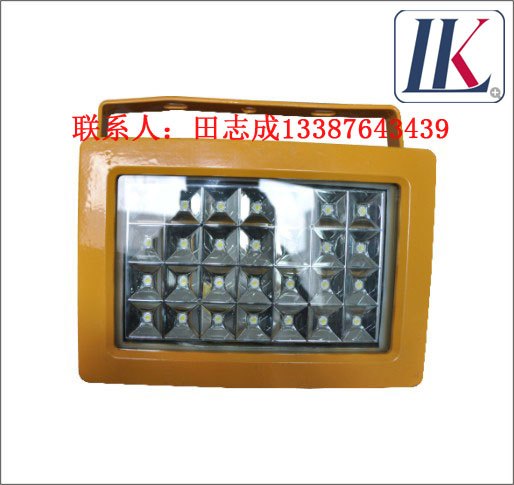 LK-FBD1115免维护LED防爆泛光灯