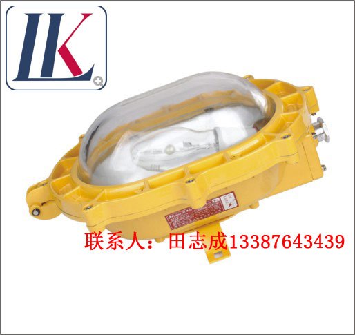 LK-FBD2101|BFC8120内场强光防爆灯