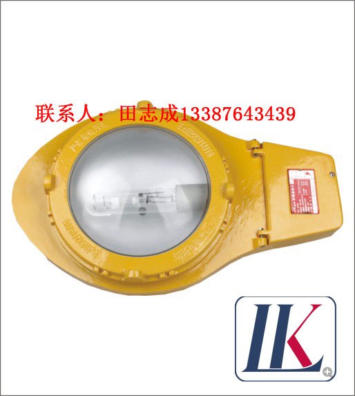 LK-FBD2112|BLC8610)防爆道路灯