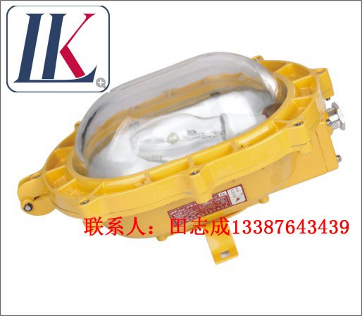LK-FBD3101|BFC8920粉尘防爆场内强光泛光灯