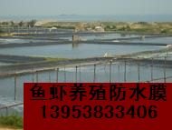 马鞍山养鱼池养虾池防渗漏优选防水橡胶布