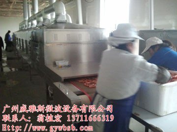 宁波烤虾设备