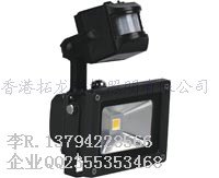 LED 感应灯 感应泛光灯 30w 人体感应投光灯 江门厂家直销 