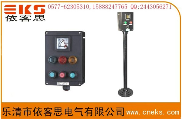 现场操作箱 FZC  A2B1K1G 两钮一表一开关挂式电机操作柱