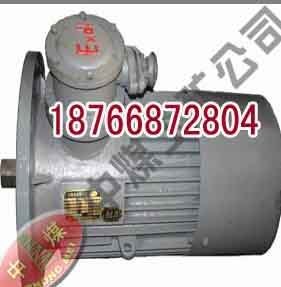 供应防爆电机 刮板机电机 DSB-55kw