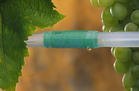 河南大棚蔬菜滴灌管价格