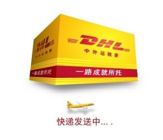 深圳DHL中外运敦豪国际快递服务
