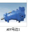 A6V80变量马达