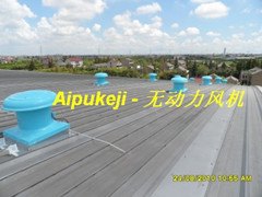 供应上海厂家长期生产直销DWT-1-5#屋顶轴流风机，玻璃钢换气扇